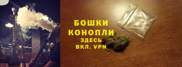стаф Каменка
