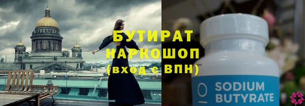 стаф Каменка