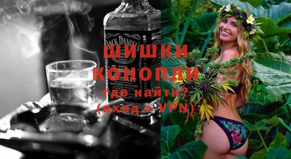 стаф Каменка
