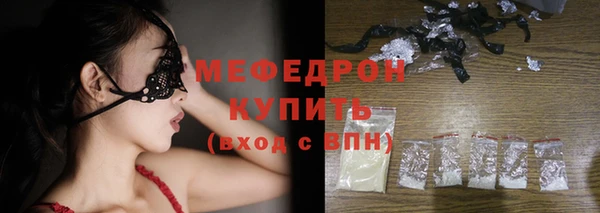 стаф Каменка