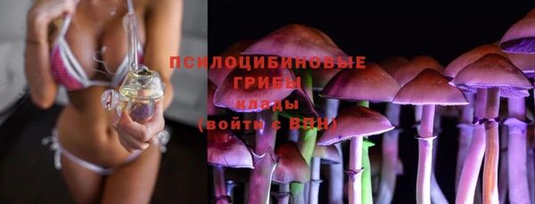 mdpv Каменногорск