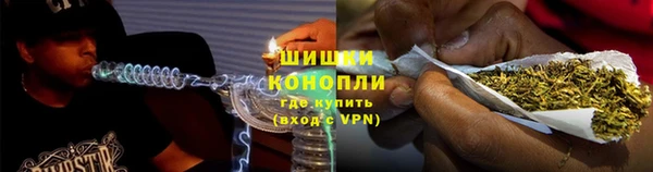 стаф Каменка
