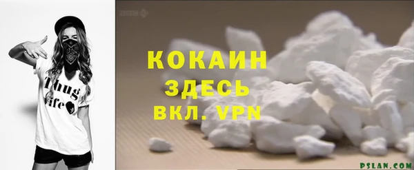 стаф Каменск-Шахтинский