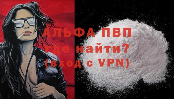 стаф Каменка
