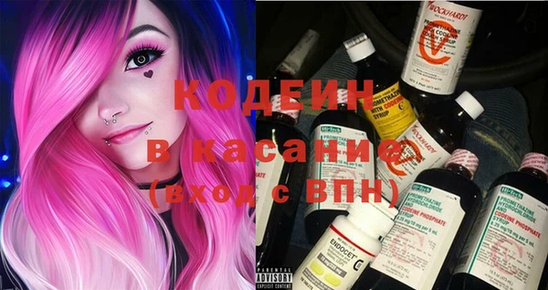 стаф Каменка