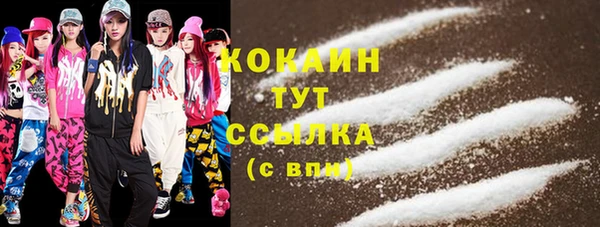 стаф Каменск-Шахтинский