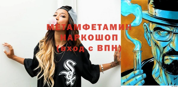 стаф Каменка