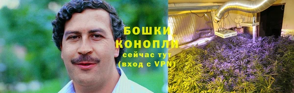 стаф Каменка