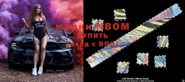 стаф Каменск-Шахтинский