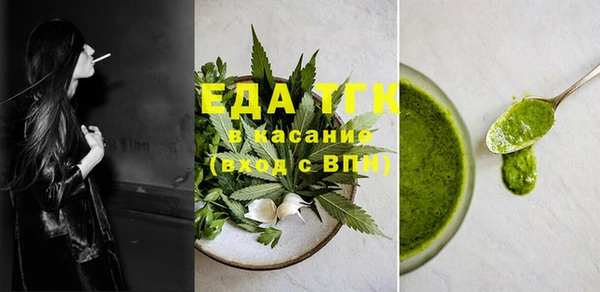 стаф Каменка