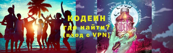 стаф Каменка