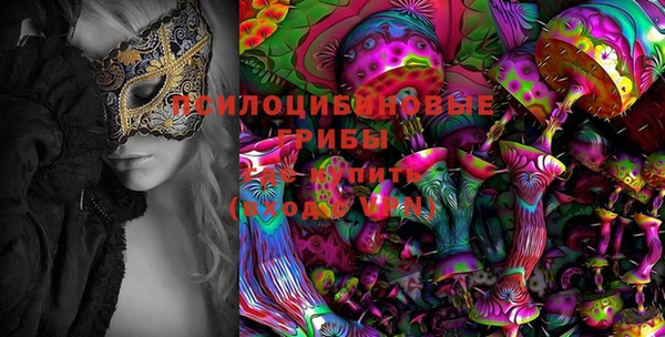 mdpv Каменногорск