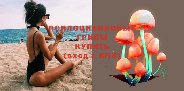 mdpv Каменногорск