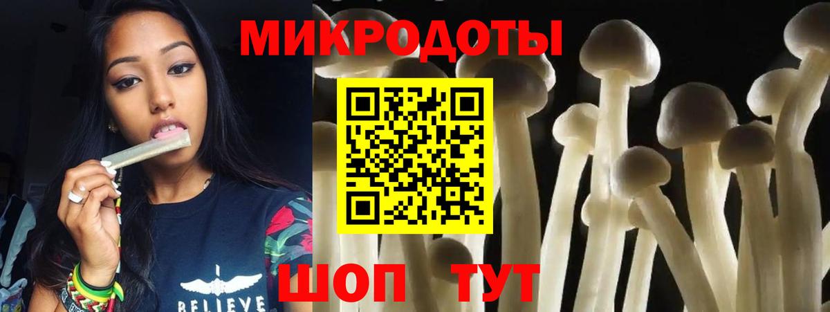 Кудымкар  магазин    Вход с VPN  Галлюциногенные грибы Cubensis 